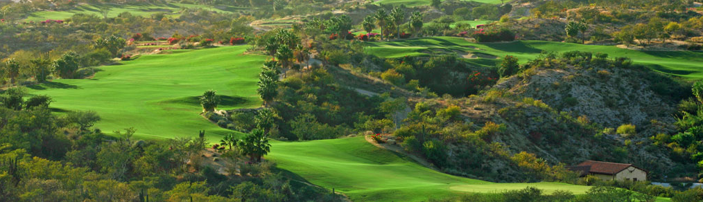 querencia homes for sale